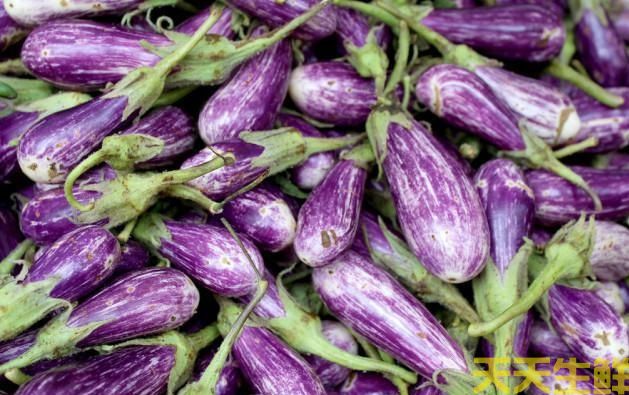 广州农产品配送公司告诉你,茄子的种类有哪些?(图6) 广州农产品配送公司告诉你,茄子的种类有哪些?(图6)