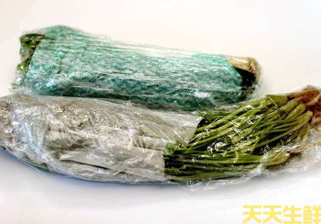 广州蔬菜配送公司告诉你,蔬菜如何保鲜?(图2) 广州蔬菜配送公司告诉你,蔬菜如何保鲜?(图2)