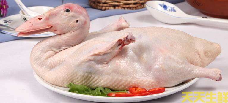 天气炎热吃什么好?广州蔬菜配送公司推荐你8种食材(图9) 天气炎热吃什么好?广州蔬菜配送公司推荐你8种食材(图9)