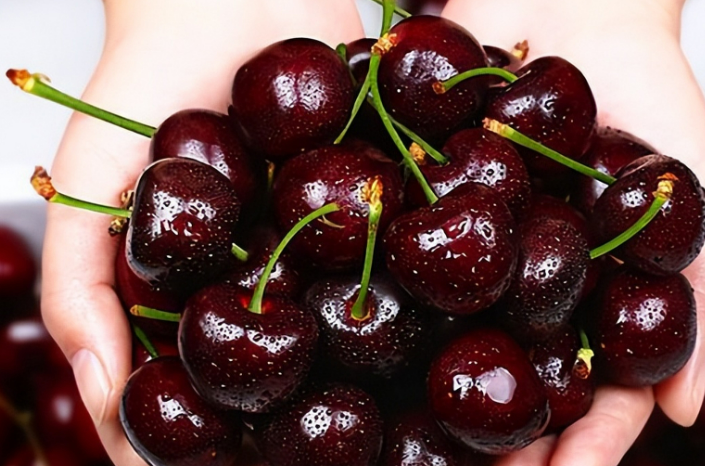 为什么今年车厘子这么便宜?(图1) 为什么今年车厘子这么便宜?(图1)